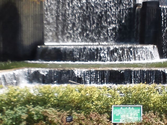 ���ꂪ��ł�����ɉ���Č��邱�Ƃ��ł���̂ŁA������ɉ���Č��Ă��������B_����s���O���[���Z���^�[