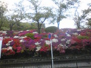 [̉Ԃ̖،̃ccW̓eʐ^1