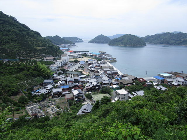 ����҂�����̗��j�̌�����u�����V�����̓��e�ʐ^2