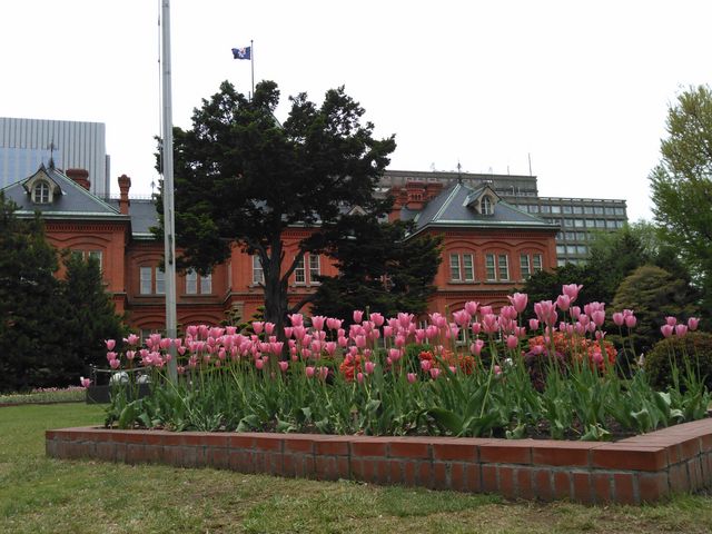 �k�C�������{����(�Ԃ�񂪒���)