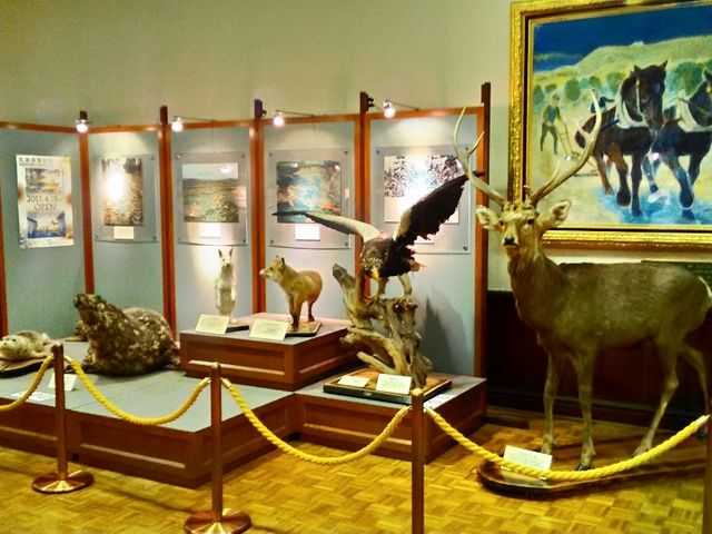 �k�C���ɐ��ޓ����̔���������܂����B_�k�C�������{����(�Ԃ�񂪒���)