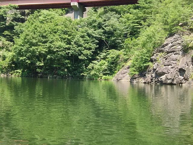 ̂΂΂̑_ΗVD̓eʐ^1