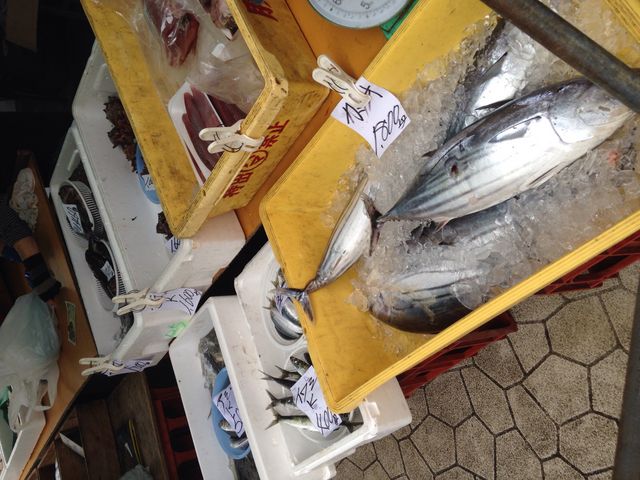 ����ϊ��͈����đN�x�T�C�R�[_���Y�̒��s