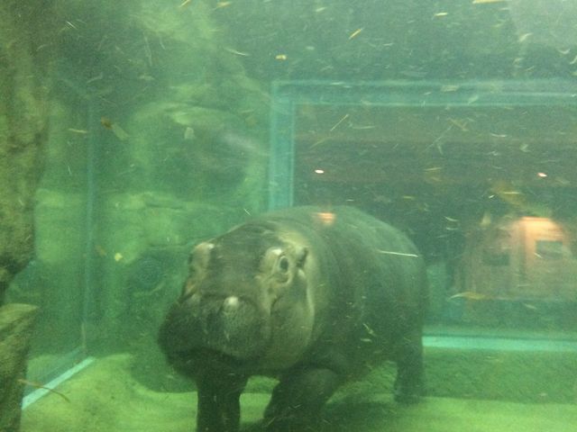 ����ȂɊ����I�ȉ͔n������̂͏��߂āI_���R������