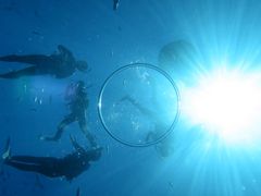 i̖` ꑍAEghAcA[Xւ̓eʐ^1