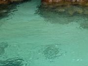 ߂̂͂Ȃق邳̒Cm̓eʐ^1