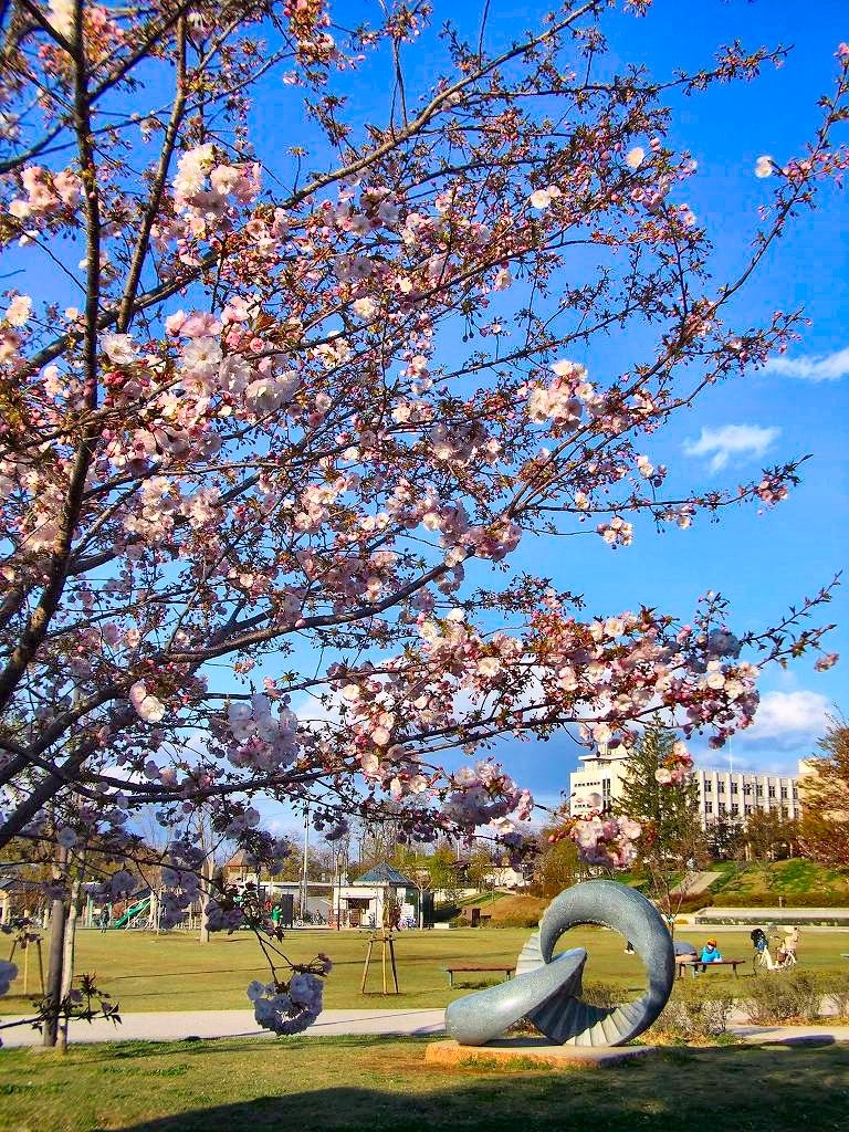 城山公園