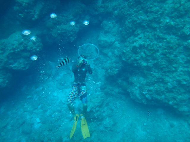 �f�G�ȃK�C�h����
����グ�Ă���܂���_B-nature