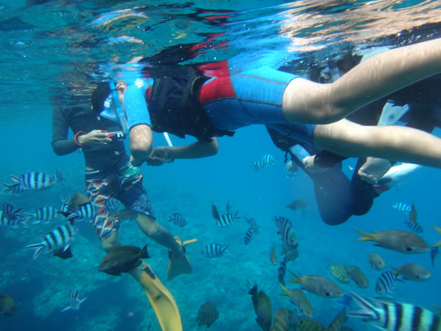 ���������ł�_B-nature