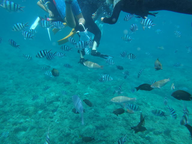 �ǂ��܂ōs���Ă������ł�_B-nature