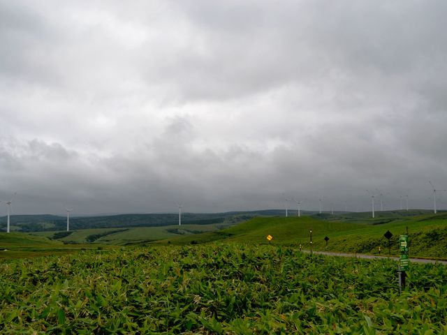 �����Ɏ��������Ԃ̑����ɋ����I_�@�J�u�ˎ��X�͒n�`