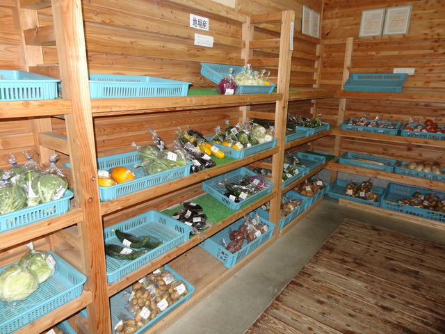 ���̉w ����ق�