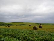 GX̏@JuˎX͒n`̓eʐ^2