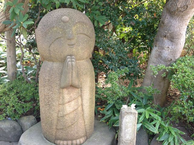 �a�ݒn��_���J��