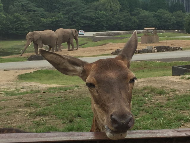 �]�E�ƃ��o_�H�g�䎩�R���������T�t�@�������h