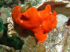 wyieor̈ɓ_CrOXN[ gbcւ̓eʐ^1