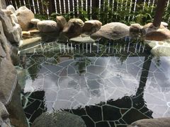 ܂̌F̐쉷 ǂ̓ւ̓eʐ^1