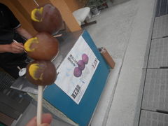 tabi����̋ʂ���ɂႭ�ւ̓��e�ʐ^1