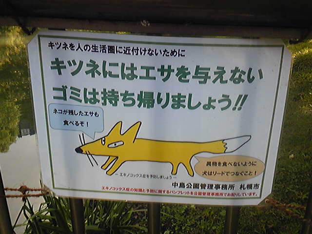 ����Ȃɕp�ɂɏo��̂�����H_��������