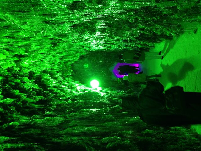 �O���[���ɕ�܂�܂�_�x┌�