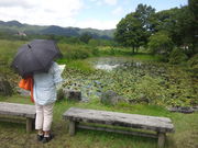 ��܂䂫����̂Ђ邪�̎����A�����̓��e�ʐ^1