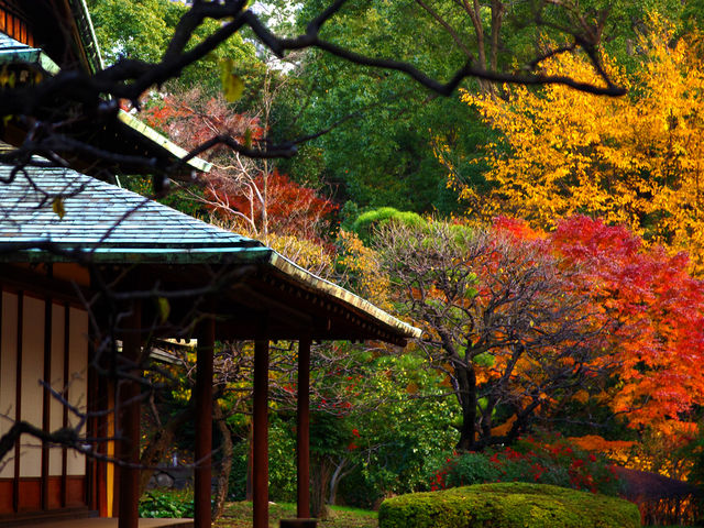 �c�����䉑