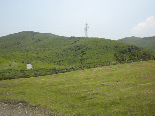 �U�R�𗬊ف@�G�̗�