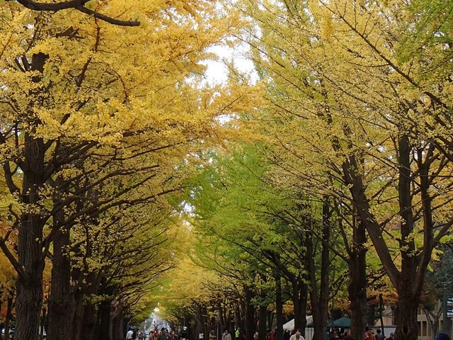 ���̂��ƁA�D�y�͏��Ⴊ�����܂���_�k��C�`���E����