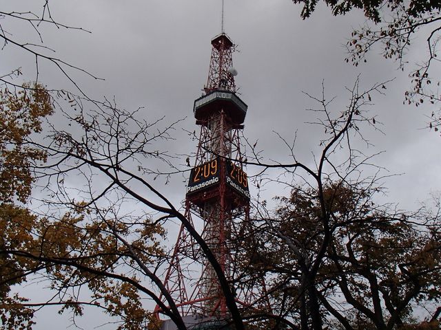 �f�W�^���d�����v�����g��������_�����ۂ�e���r��