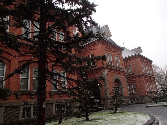 ����̎D�y_�k�C�������{����(�Ԃ�񂪒���)