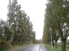 salma̖k|v؂ւ̓eʐ^1