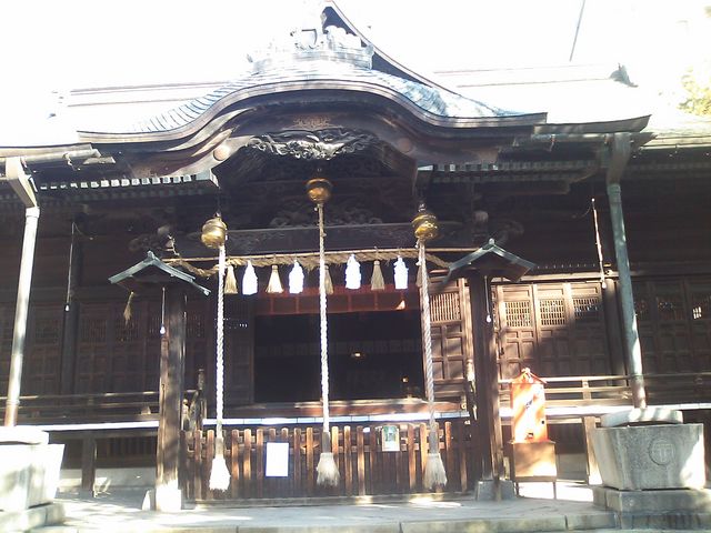 ʂ̓ɂl_ЂłB肢͉ł܂B_ȂĒʂ