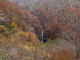 タックさんの那須平成の森の投稿写真1