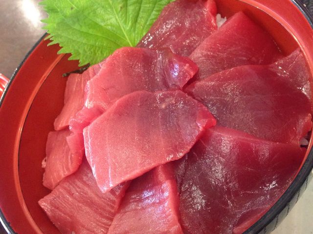 �L���L���܂��똥_��ԍ�