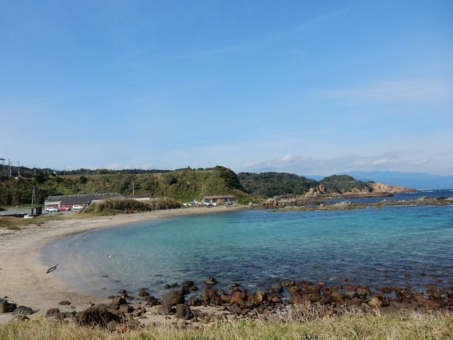 �Y��ł���`�l�����Ȃ�������ł���_�ܖ؍�