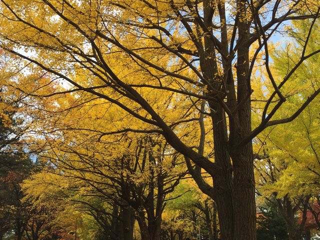 �k��C�`���E����