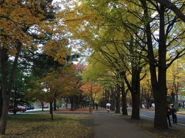 �k��C�`���E����