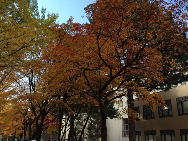 �k��C�`���E����