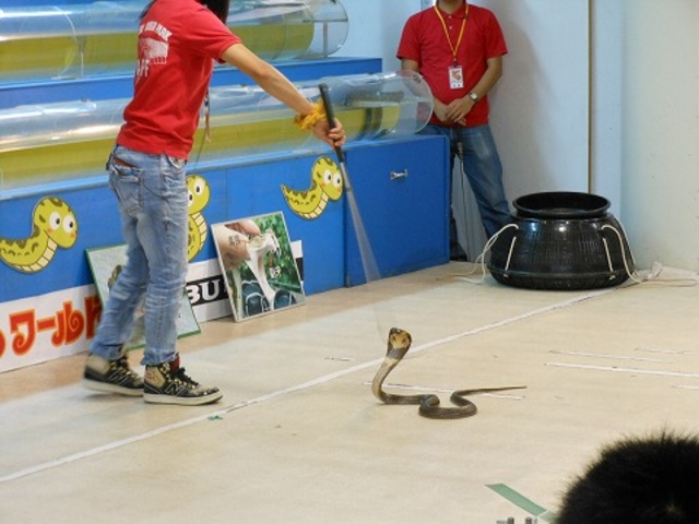 �n�u_�����Ȃ탏�[���h