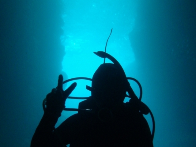 �̓��A�ɂ�_�}�����N���u Gigi