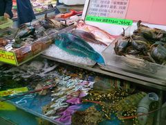 �܂�Ղ�����̂ւ̓��e�ʐ^2