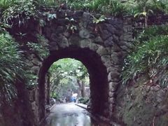 yߘa5Nxߘa8Nx܂ł4Nԋxفzqwق̎ʐ^1