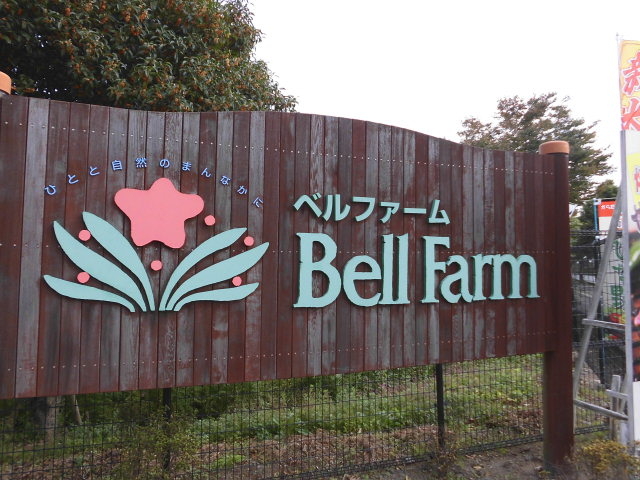 1������o��łǂ���_����_�ƌ����x���t�@�[��