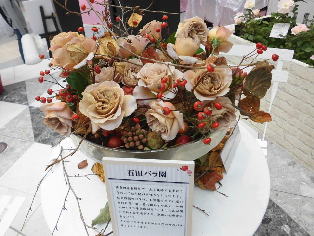 ����̃��[�Y�K�[�f���̎���_�T���V���C���V�e�B