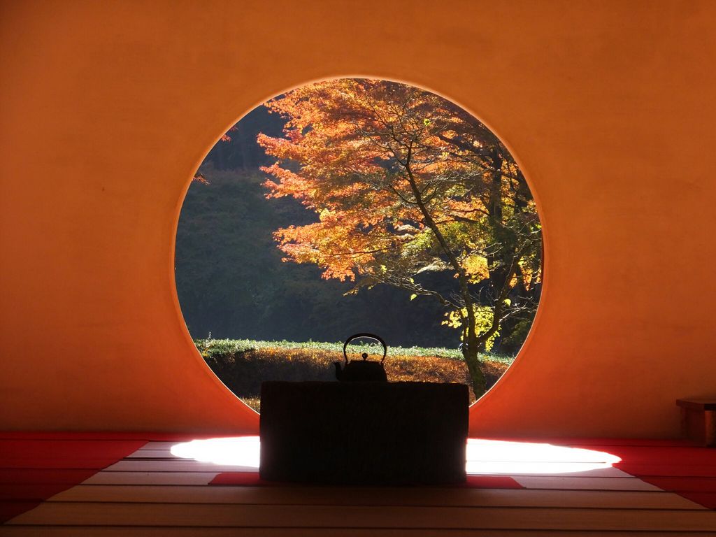 明月院(あじさい寺)
