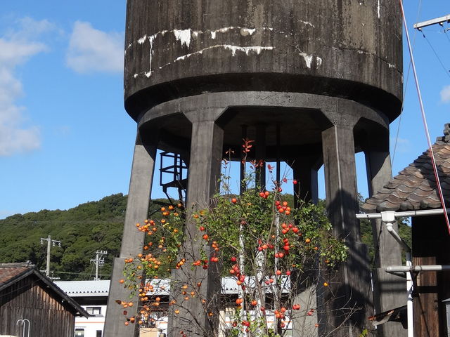 _V񖓉wu]ԑ䁕SjٌwcA[v