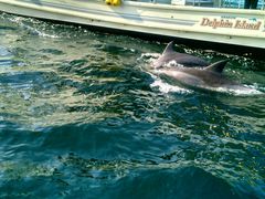 ݂񂳂̓쓇CJEHb`Oւ̓eʐ^1