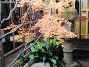 ��������̎R���s�؍����̓��e�ʐ^2