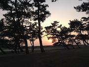 Sakamoto119̓Q̓eʐ^12