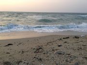 Sakamoto119̓Q̓eʐ^13